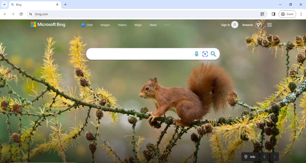 119_Bing